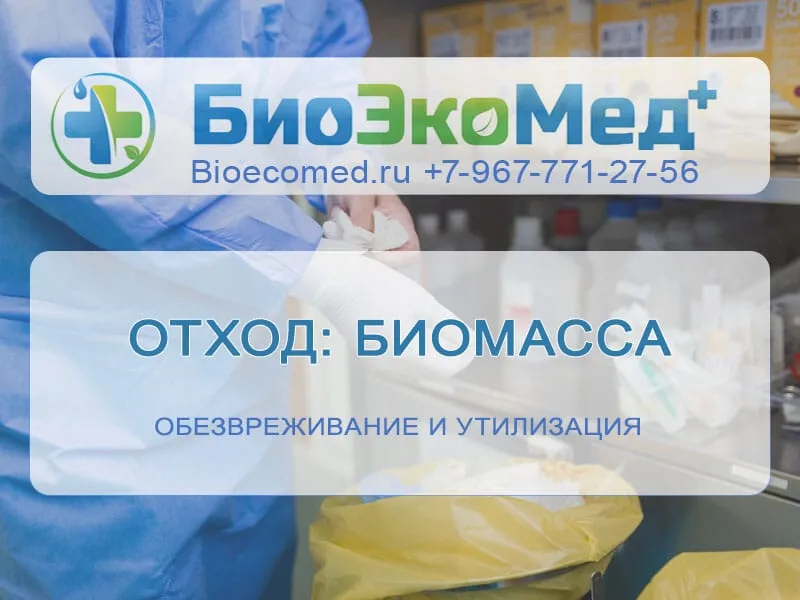Отход: биомасса